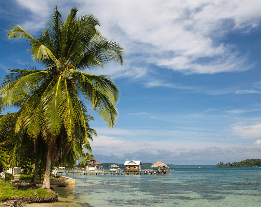 Кокосови палми в Бокас дел Торо